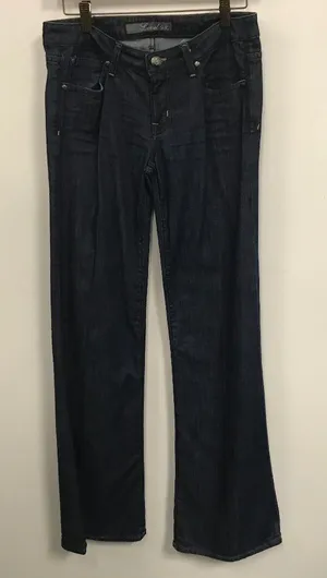 NWOT Level 99 4x35 Flare Leg Five-Pocket Jeans thumbnail 1