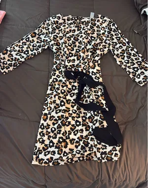 H&M Cheetah Dress thumbnail 1