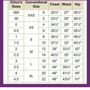Chico’s button down embroidered collared silk blouse thumbnail 11