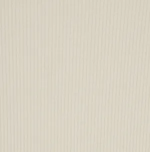 SKIMS COTTON RIBBED BOXERS thumbnail 7