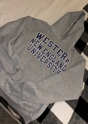Champion Hoodie thumbnail 2