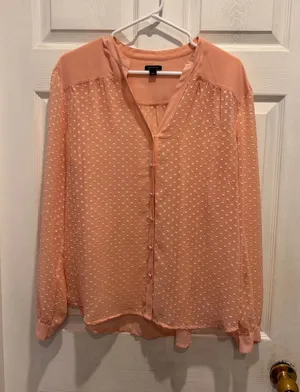 Ann Taylor Womens Large Pink Swiss Dot Sheer Long Sleeve Button Front Blouse thumbnail 1