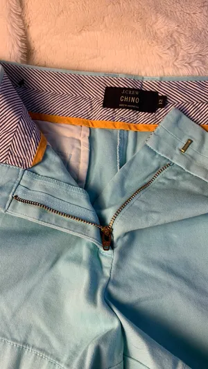 J.Crew Shorts thumbnail 5