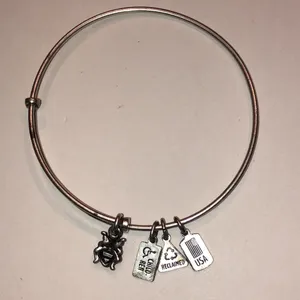 Alex and Ani Silver Tone Ladybug Charm Bracelet thumbnail 5