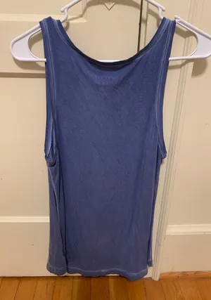 American Eagle Soft And Sexy Blue Tank thumbnail 2