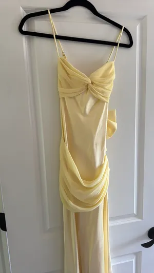 Selfie Leslie wedding guest dress thumbnail 7