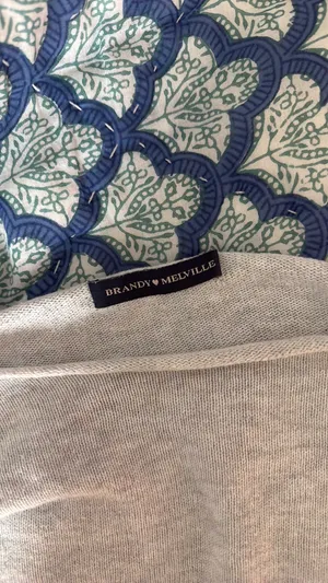 Brandy Melville Top thumbnail 2
