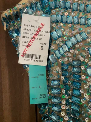 Camille La Vie Beaded Turquoise And Sheer Gown thumbnail 4
