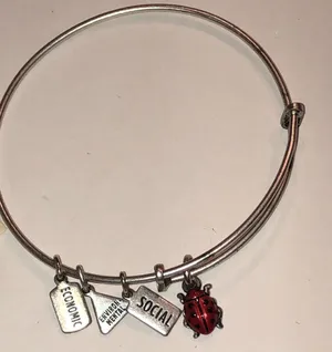 Alex and Ani Silver Tone Ladybug Charm Bracelet thumbnail 1