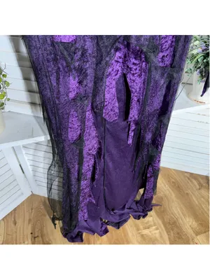 The evil court countess of darkness sexy witch sorceress velvet mesh costume L thumbnail 15