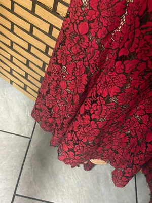 Ellie Wilde mon Cheri red and tan lace gown size 4 thumbnail 14