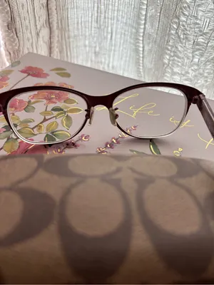 Coach Women's Satin Burgundy (Ashlyn HC 5039) 51mm Glasses thumbnail 7