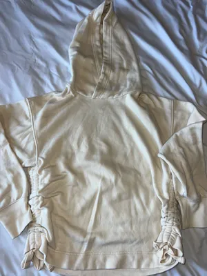 Aerie Cropped Sweatshirt thumbnail 1