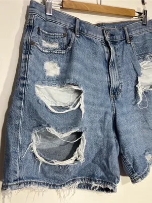 American Eagle Outfitters Light Blue 90s boyfriend short size 14 thumbnail 2