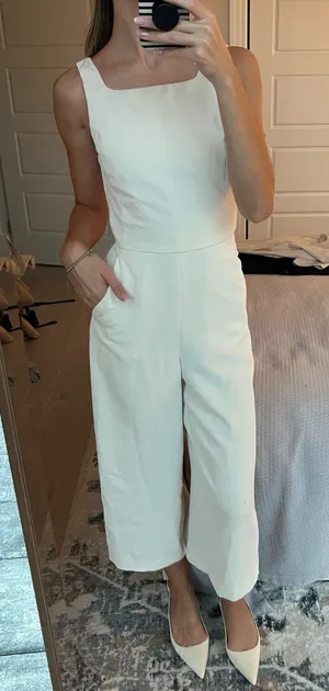 Aritzia Jumpsuit thumbnail 1