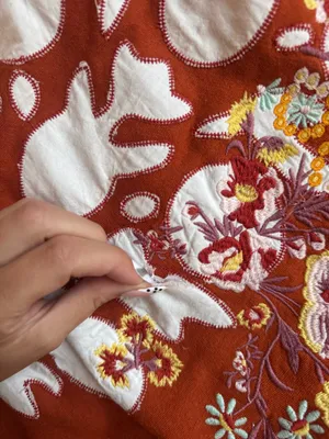 Free People "At My Best" Embroidered Sweatshirt thumbnail 2