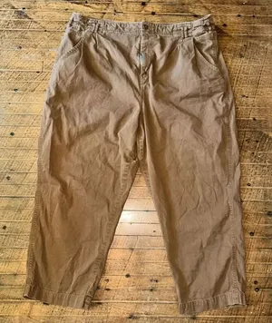 American Eagle brown lightweight normcore size 20 short pants thumbnail 1