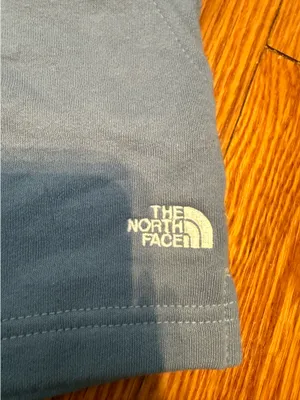 North Face Sweatshorts thumbnail 2