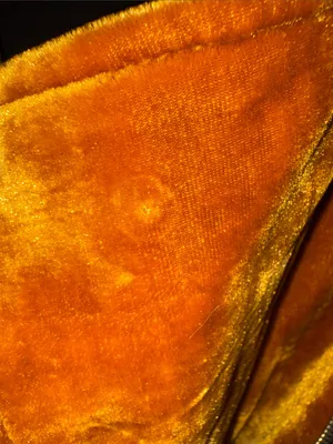 Forever 21 Velvet Moto Jacket in Mustard Gold thumbnail 9