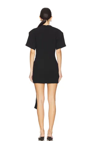 Lioness Dress thumbnail 4