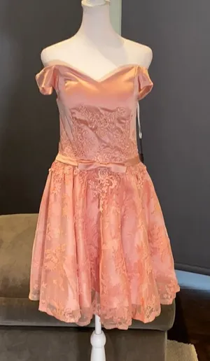 Women’s Dusty Pink Off The Shoulder Short Prom Party Dress CorsetBack Size 4 NWT thumbnail 1