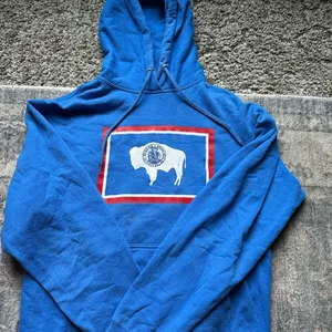 Blue Hoodie with Buffalo Graphic (Wyoming state flag) thumbnail 1