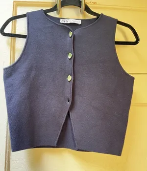 Zara Sweater Vest SM Blue Preppy Academic Ivy League Sophisticated Classic Chic thumbnail 1
