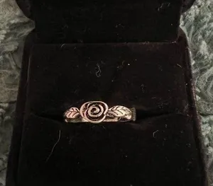 Women’s Stainless Steel Silver Band Size 7 thumbnail 1