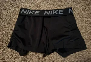 Nike Dri-Fit Shorts thumbnail 1