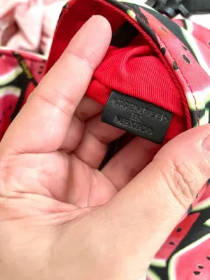 Dooney & Bourke Sandia Flap Watermelon Print Backpack Fruitcore Retro Summer thumbnail 10