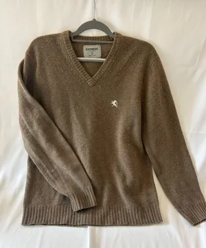 Express Sweater Mens L Large Tan Lambswool V Neck Pullover Long Sleeve Knitted thumbnail 1