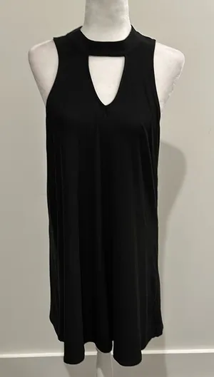 NWT Evereve RD Style Keyhole Mock Neck Tie Dress Sz L thumbnail 1