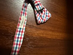 J.Crew kids plaid bowtie thumbnail 5