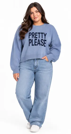 No Comment Light Blue "Pretty Please" Graphic Knit Crewneck Sweater NWT Size XL thumbnail 1