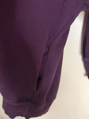 aerie Relaxed Crewneck Sweatshirt in Plum thumbnail 4