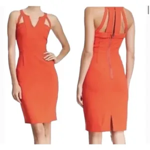 BCBG Orange Sleeveless Bodycon Dress With Strappy Back Detail Size 10‎ thumbnail 2