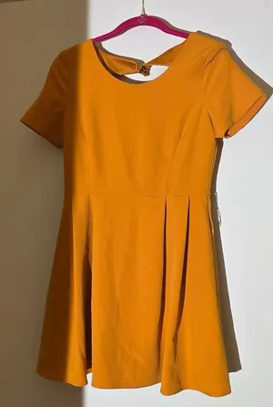 Only Skater Dress NWT thumbnail 1