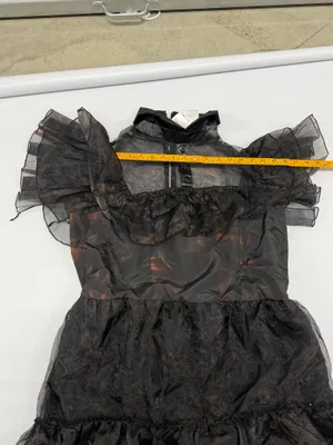 Wednesday Addams Gothic Tiered Maxi Dress Black Sheer Organza Ruffle Gown broken thumbnail 4