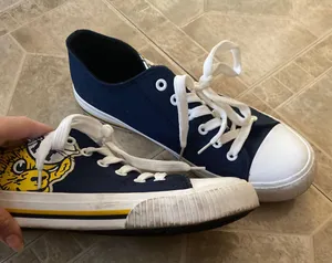 Converse Michigan thumbnail 1