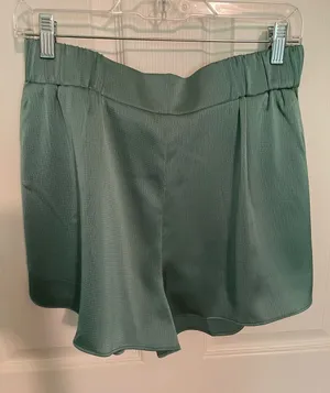 Naked Zebra Aqua Blue/Green High-Waist Elastic Waistband Shorts. thumbnail 1