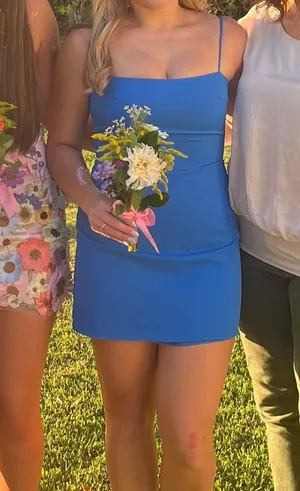 Blue Victoria + Sophia Dress thumbnail 3