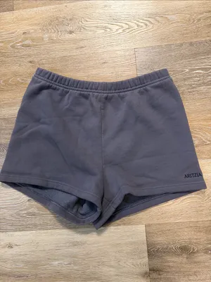 Aritzia Slate Gray Fleece Athletic Shorts thumbnail 3