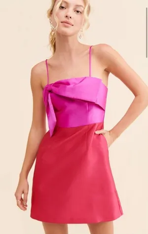 Anthropologie Hutch‎ Serena Bow Mini Dress Pink Red Sz 4 thumbnail 1