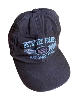 Petrified Forest National Park Protect Preserve Brown Baseball Cap 🔥 thumbnail 1