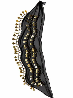 Black sheer belly dance hip scarf with gold coins and beads ✨ Perfect for dance, costumes, or parties. thumbnail 2