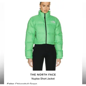 The North Face Nuptse Short‎ Jacket in Chlorophyll Green XL thumbnail 2