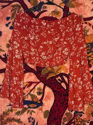 Scarlet and White Off-the-Shoulder Hippie Top thumbnail 2
