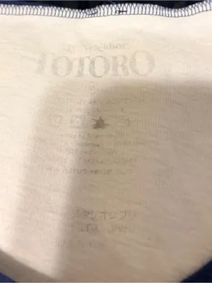 White & Navy My Neighbor Totoro Graphic Raglan Tee thumbnail 5