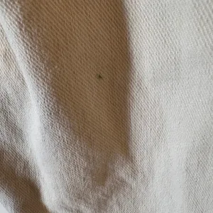 LOFT The‎ Slim Cropped Jeans in Off White Size 34/18 thumbnail 6