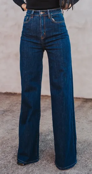 Boutique Wide Leg Jeans size 3/26 Aphrodite Brand NWT thumbnail 1